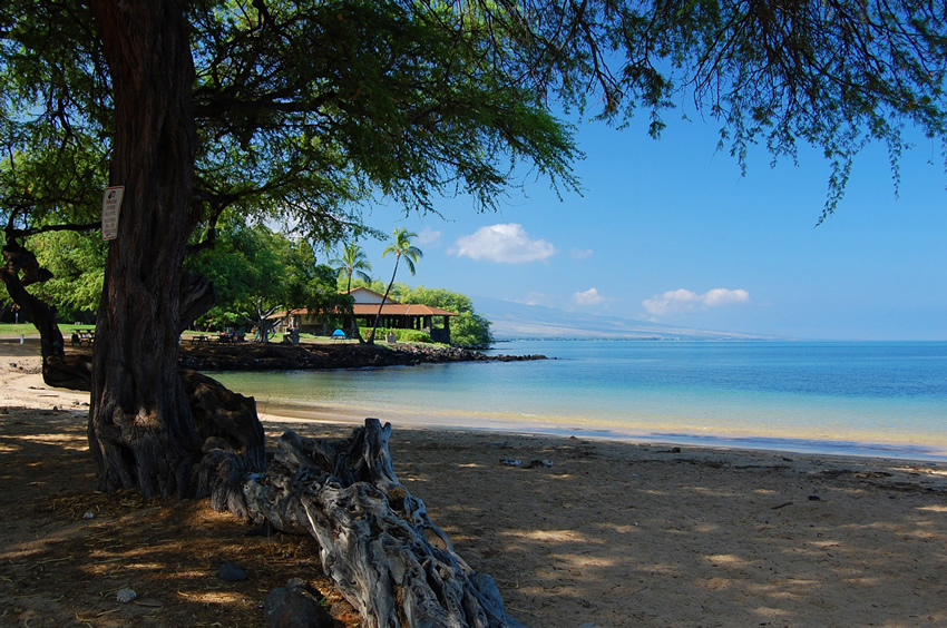 Beach Has Plenty of Shade