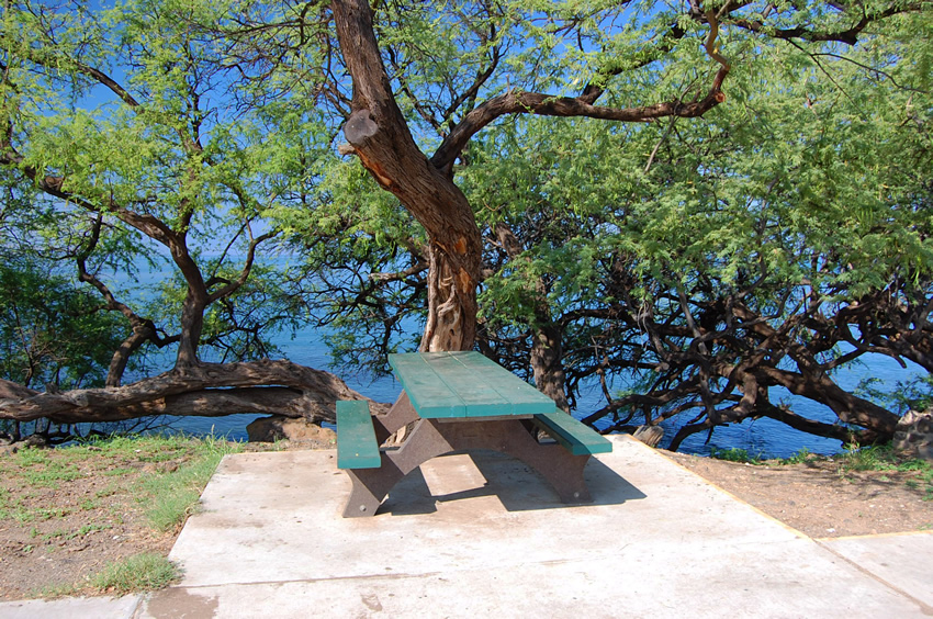 Picnic Table