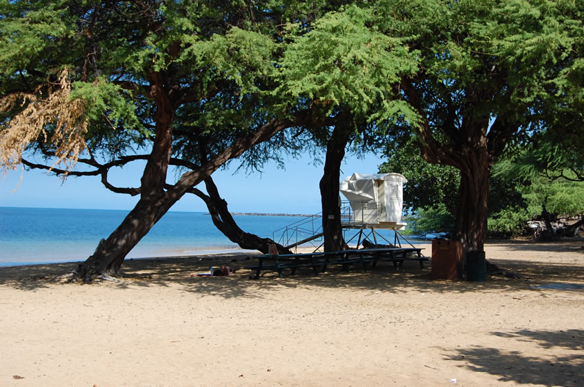 Scenic Big Island Beach