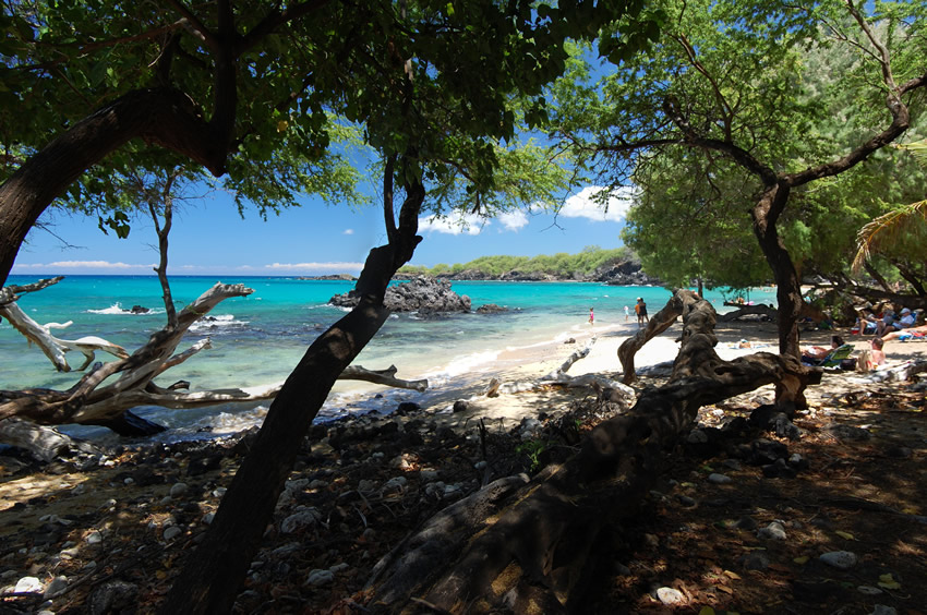 Plenty of Shade on Beach