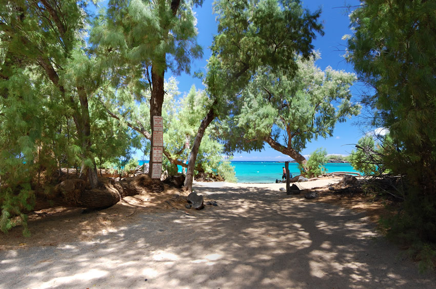 Sandy Path to Beach