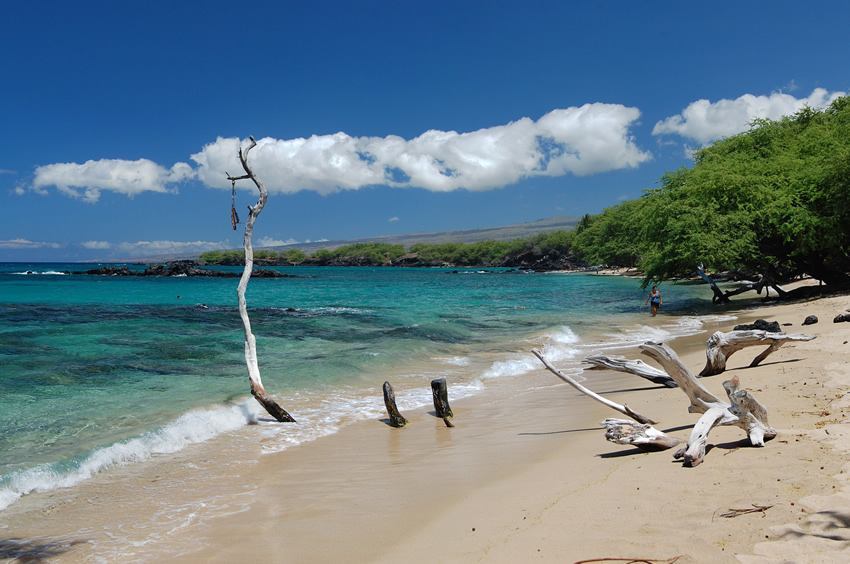 Scenic North Kohala Beach