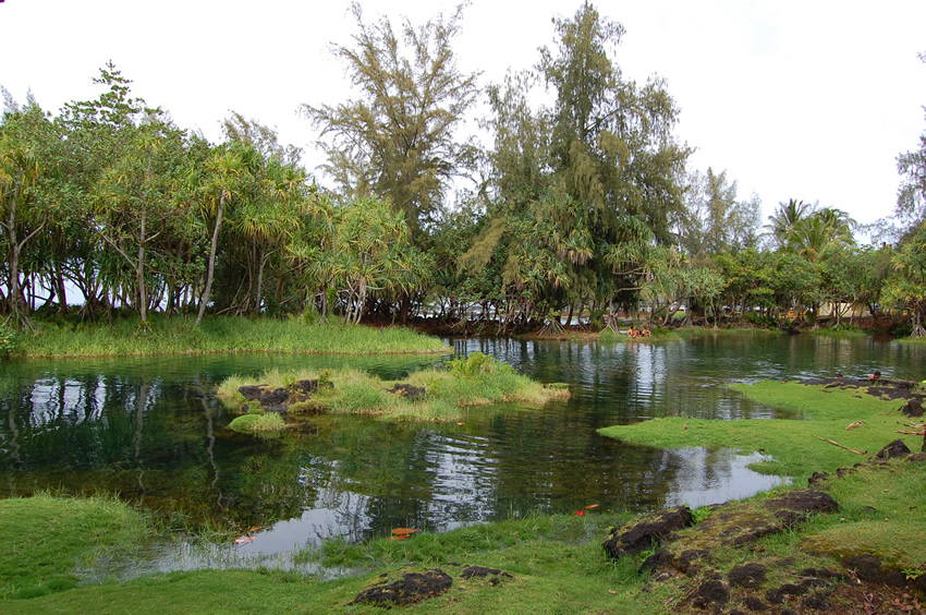 Lagoon in the Beach Park