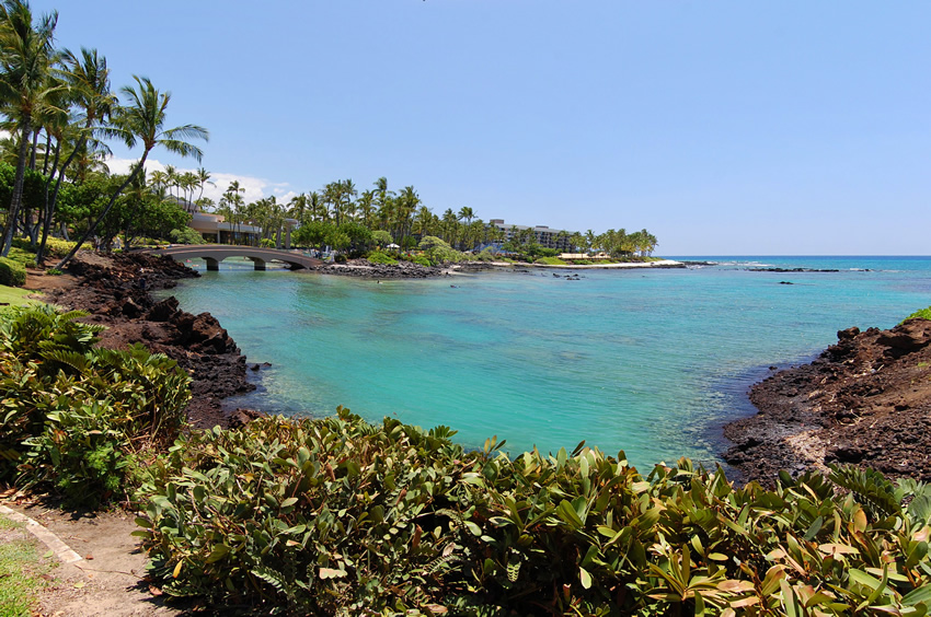 Backed by Resort Vegetation