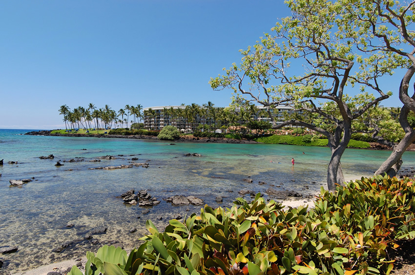Scenic Big Island Beach