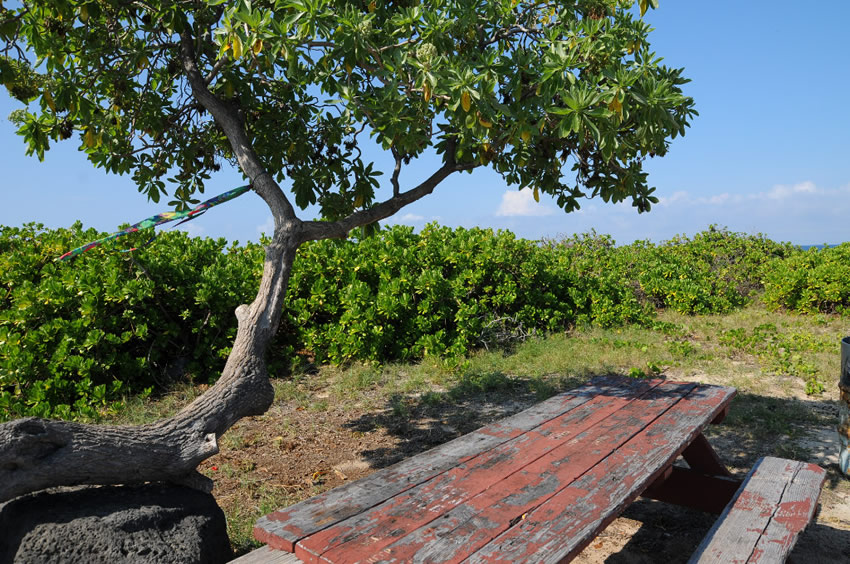 Picnic Area