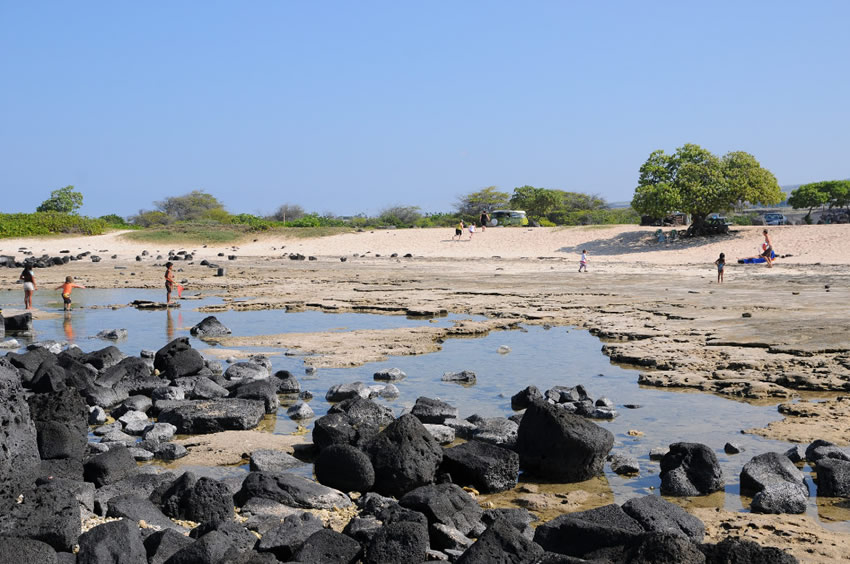 Sand Filled Tide Pools