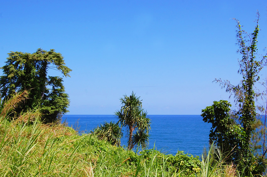 Scenic Lookout Near Hilo