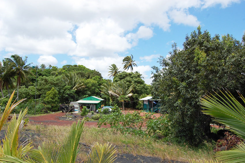Local Homes