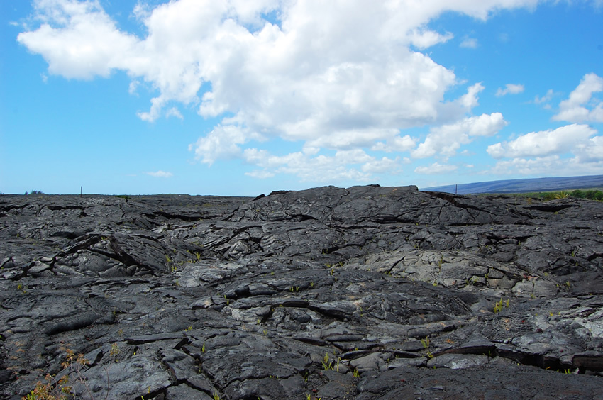 New Lava
