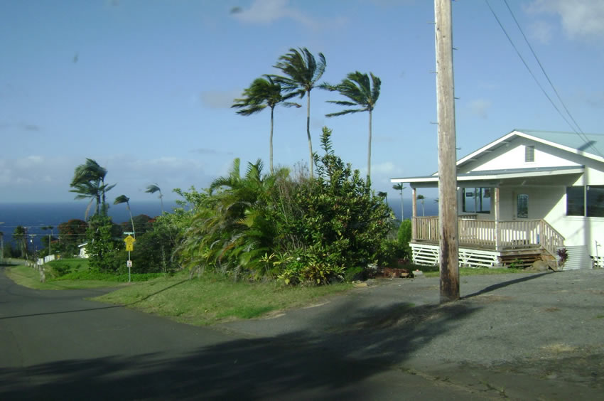 House with an Ocean View
