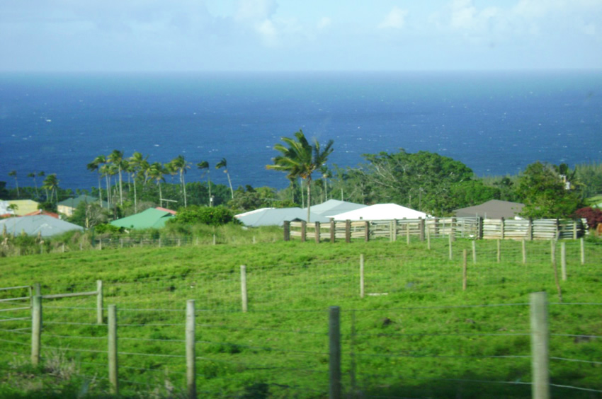 Paauhau Houses