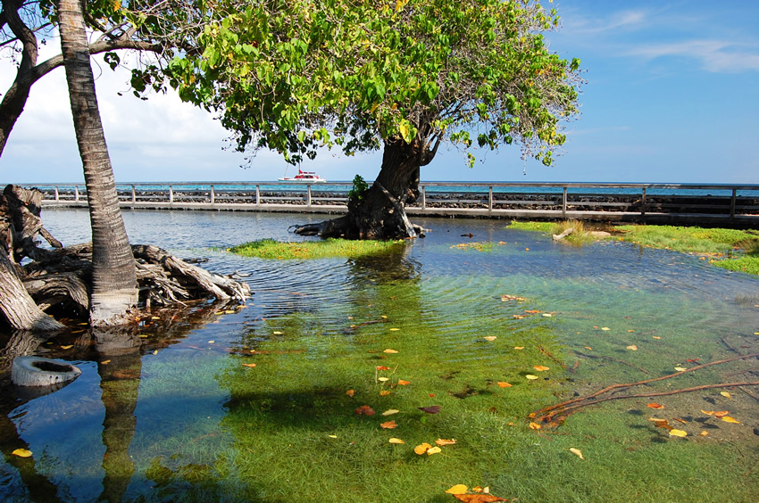 Kalahuipuaa Fishpond