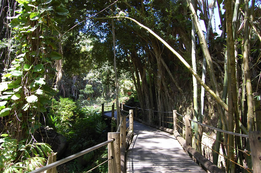 Scenic Trail