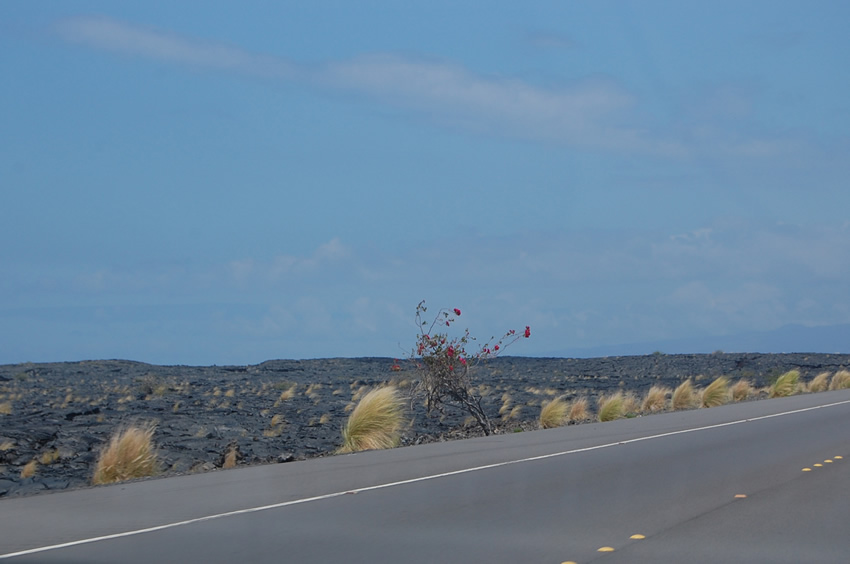 Scenic Lava Road