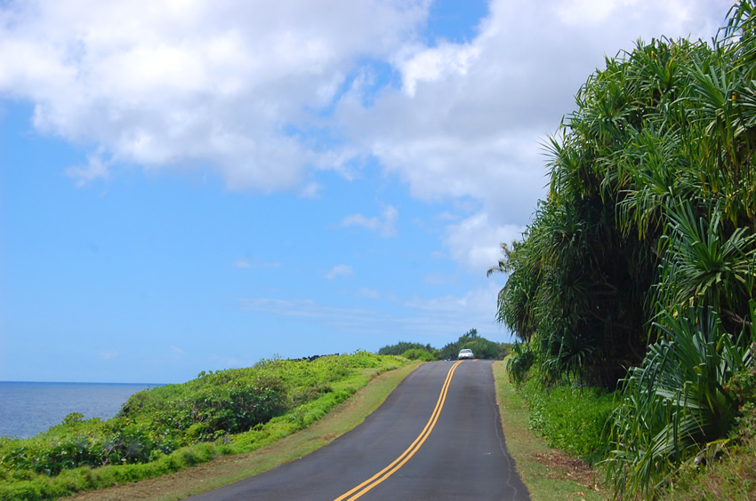 Kapoho Kalapana Road 137 01 13