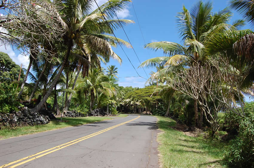 Kapoho Kalapana Road 137 01 22