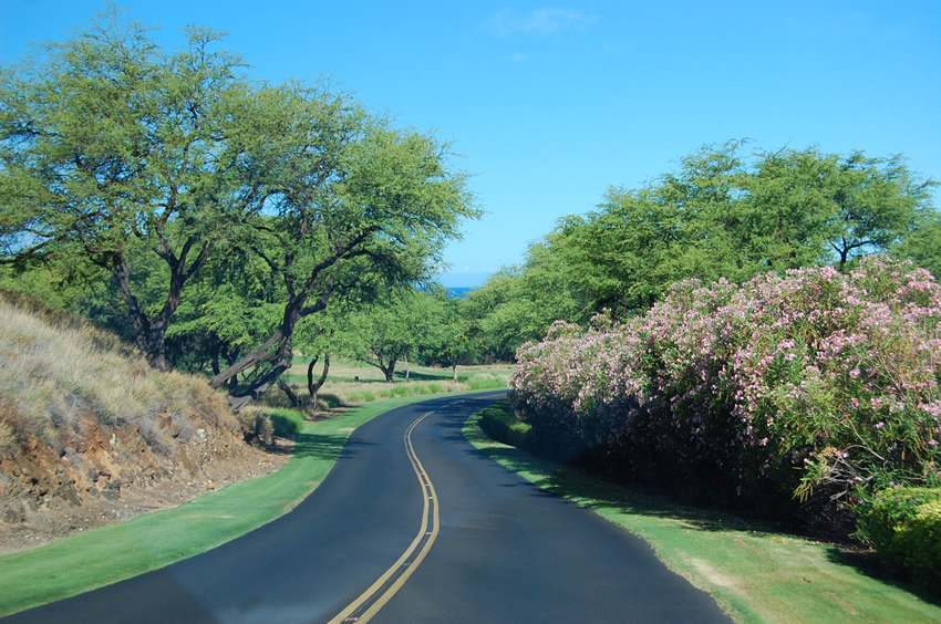 North Kohala Scenic Road