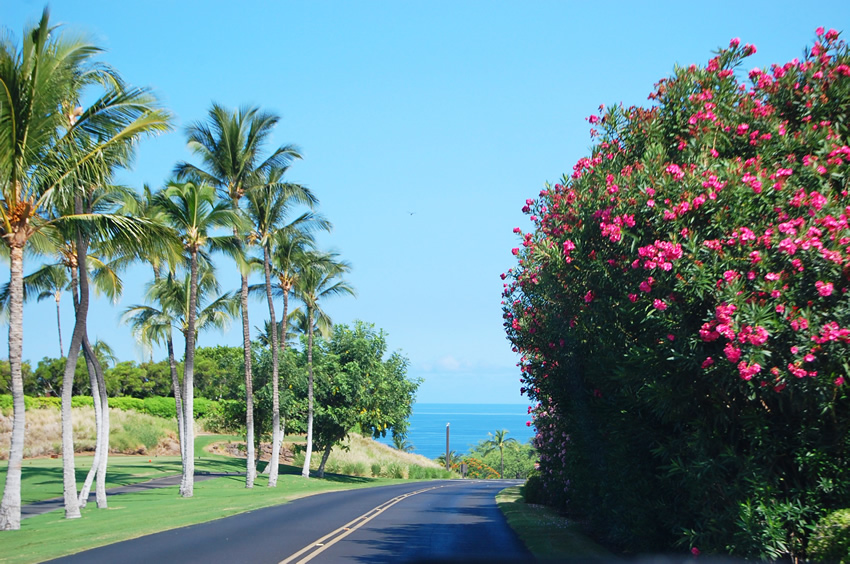 Scenic Drive