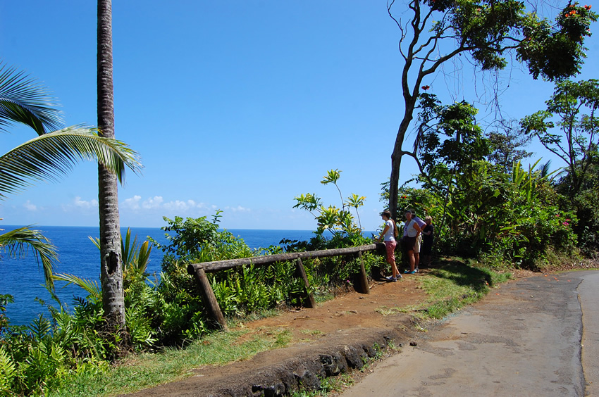 Onomea Bay Scenic Lookout