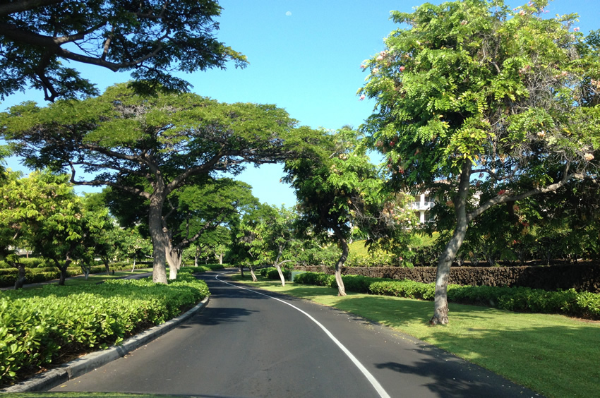 Scenic Drive