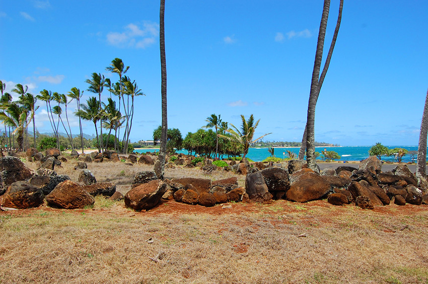 Tropical Surroundings