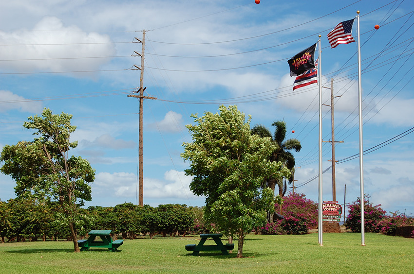 Flags at the Entrance