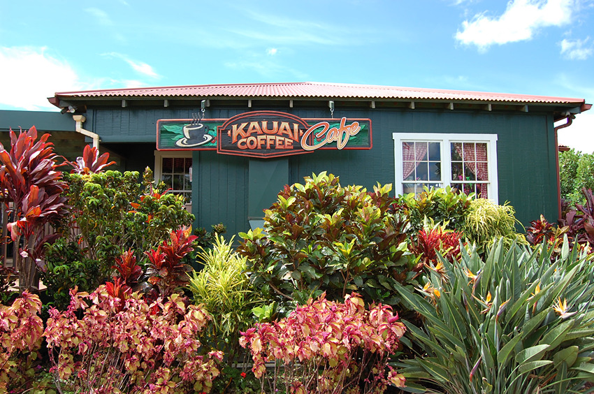 Tropical Flora