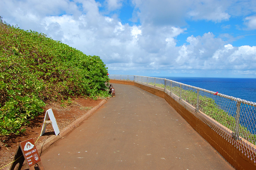 Walkway to Kilauea Lighthouse