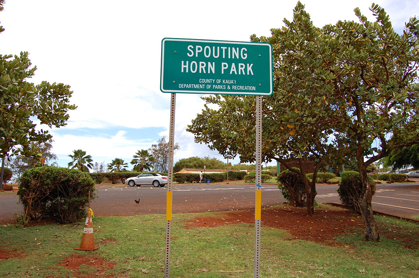 Park Sign