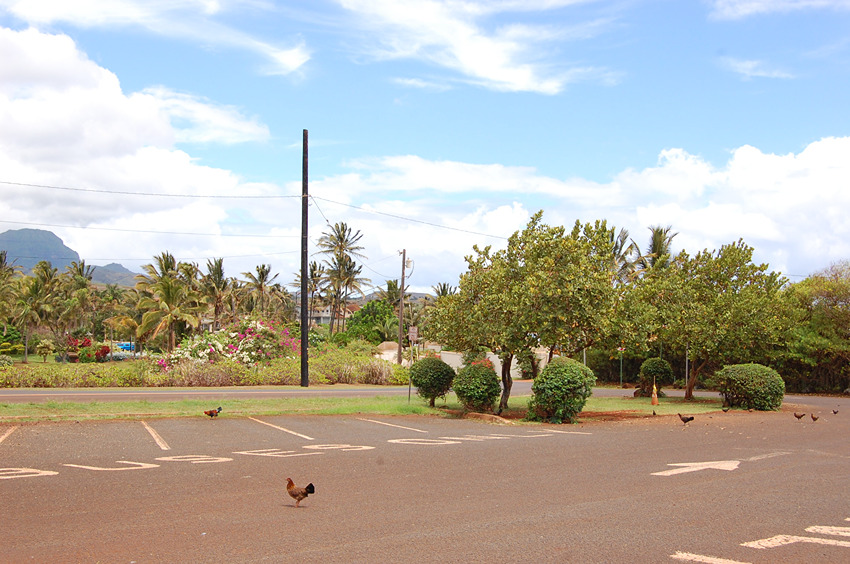 Parking Lot