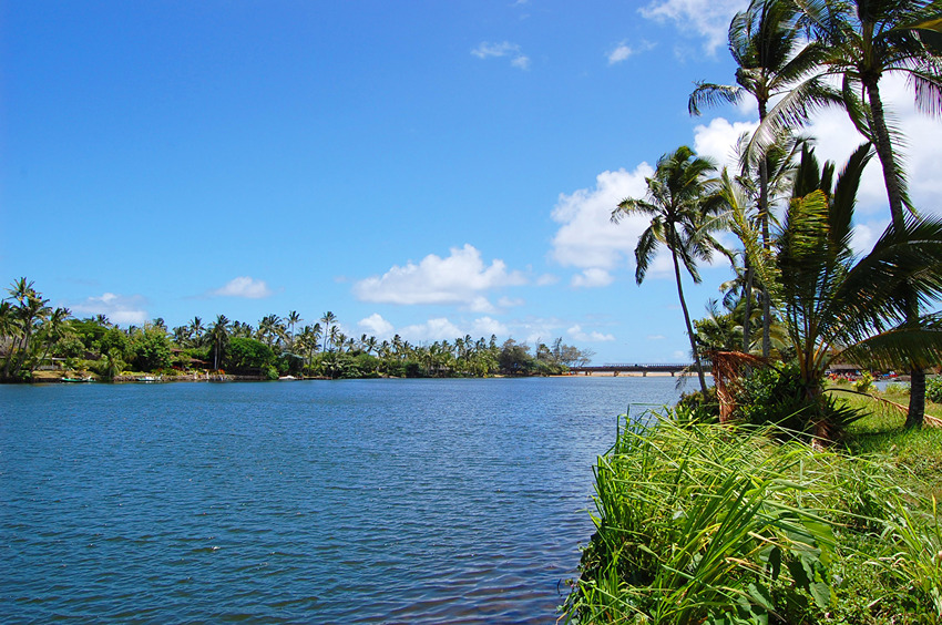 Looking Toward the Mouth of the River