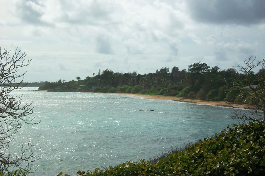 Bluff Overlooking Aliomanu