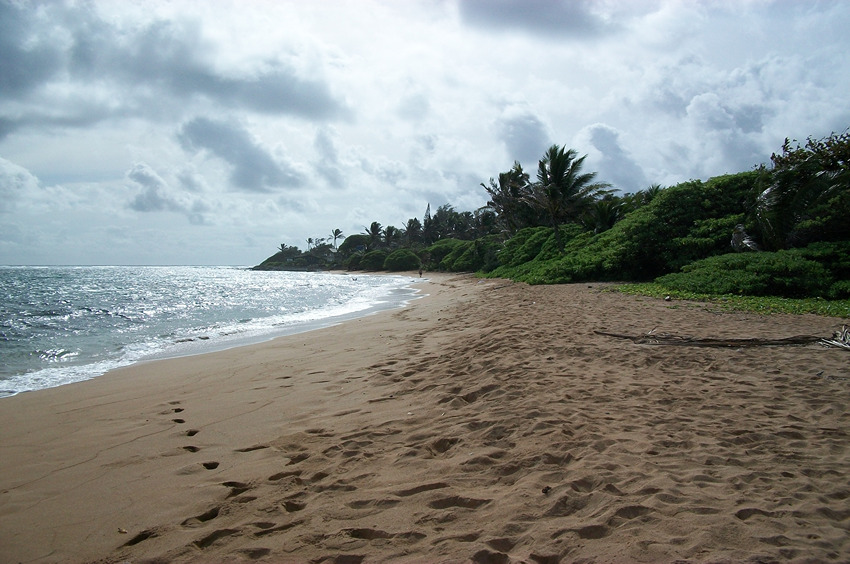 Looking South