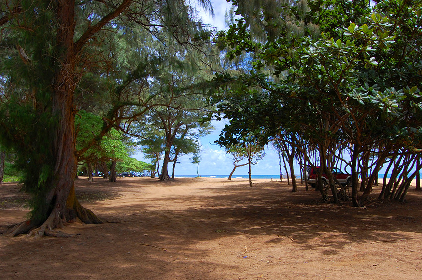 Park Area