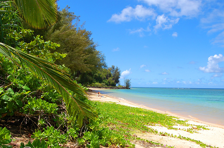 Sunny Day on Anini Beach