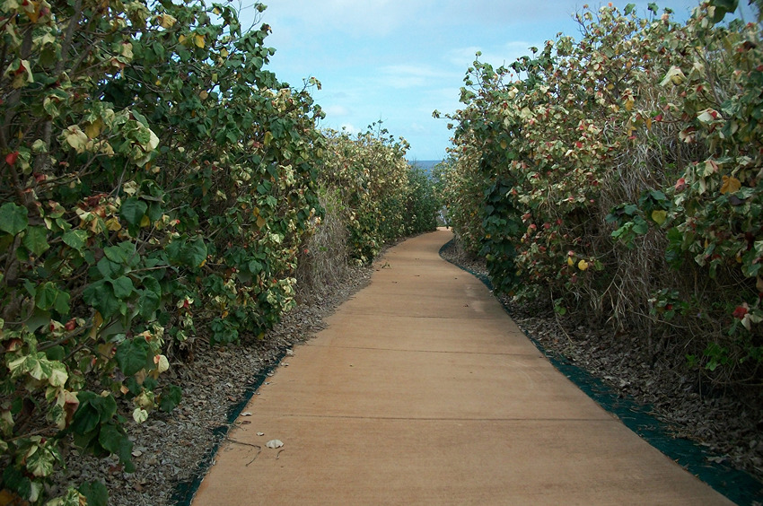 Donkey Beach Access