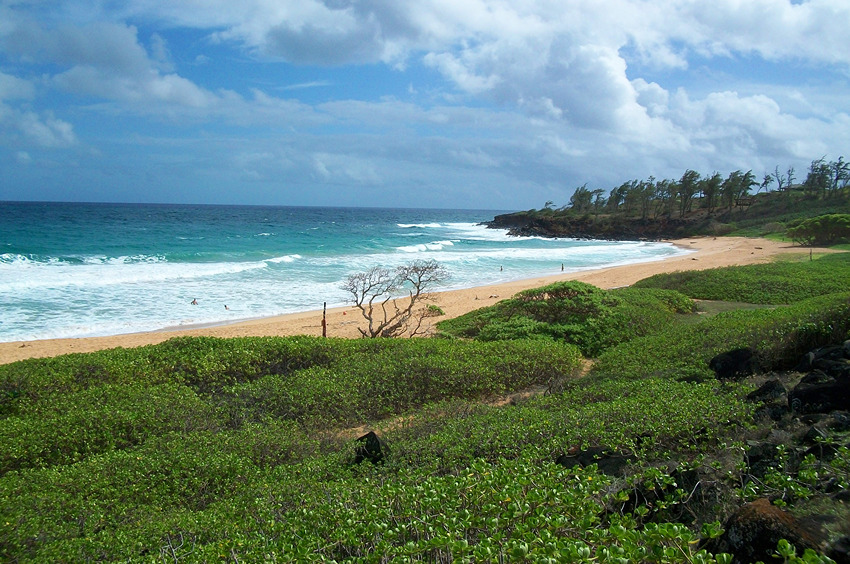 Sandy Bay