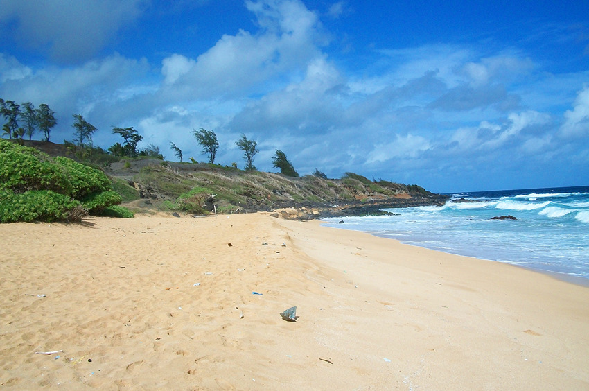 South End of Donkey Beach