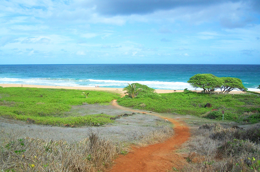 Trail Leading to the Beach