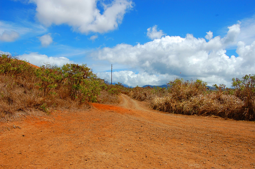 Dirt Road to the Beach