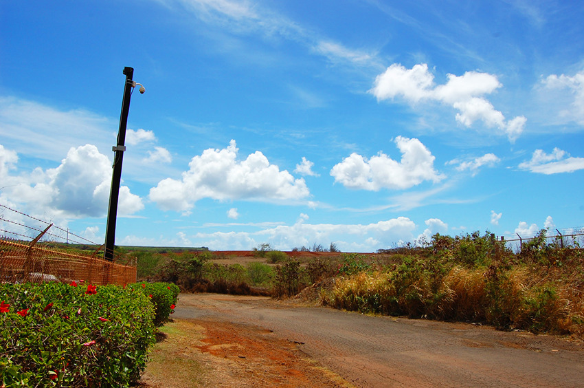 Road to the Beach
