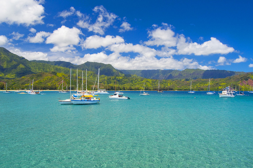 Bay Sailing