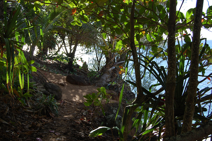 Lush Surroundings