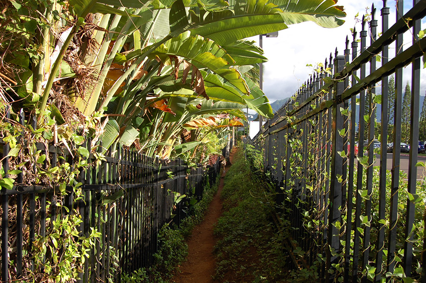Start of the Trail to the Beach
