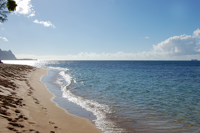 Stroll on the Beach