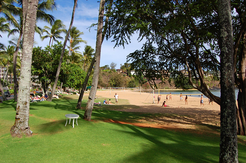 Beach Has Shady Areas