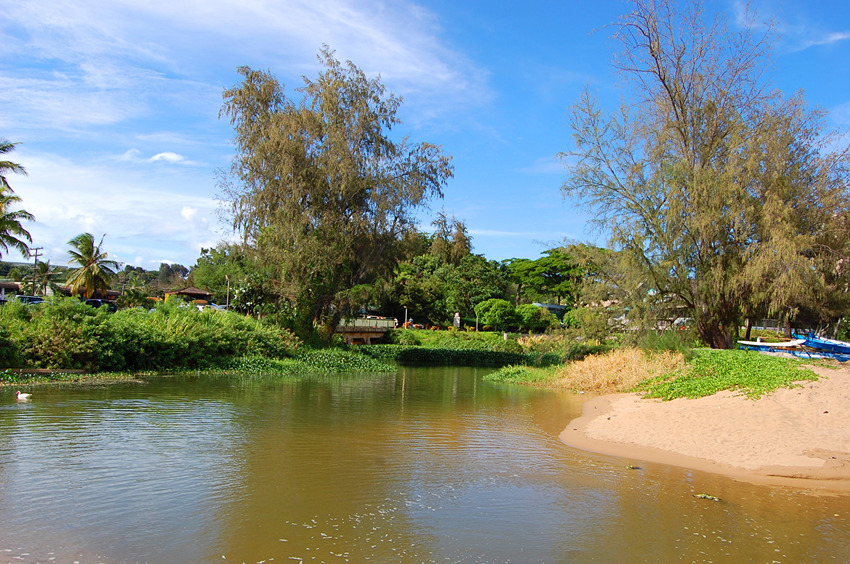 Lagoon Near the Beach