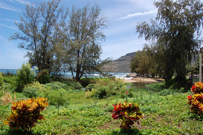 View to the Lagoon