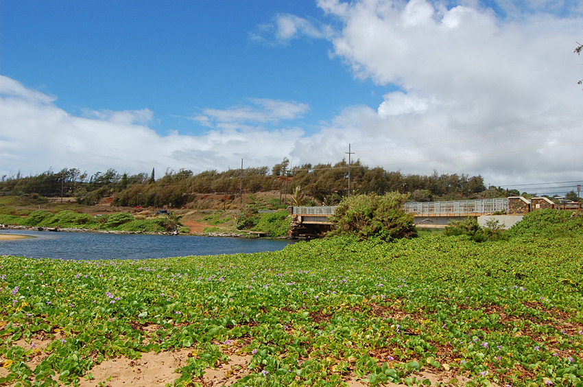 Bridge Leads over River